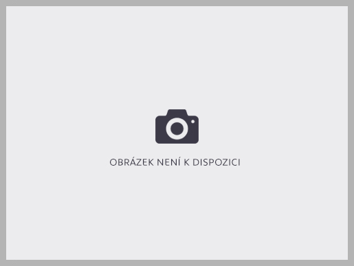 Fiat Scudo verze